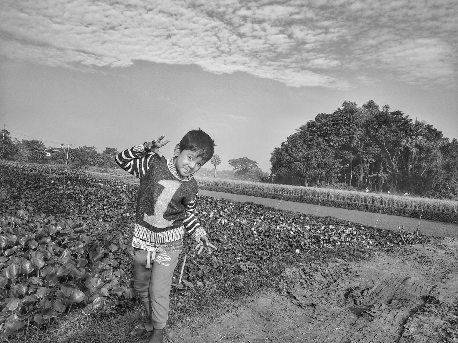 Photo #5646190