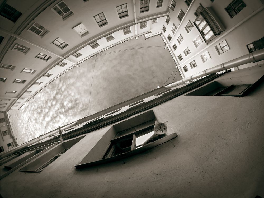 Питерские дворы