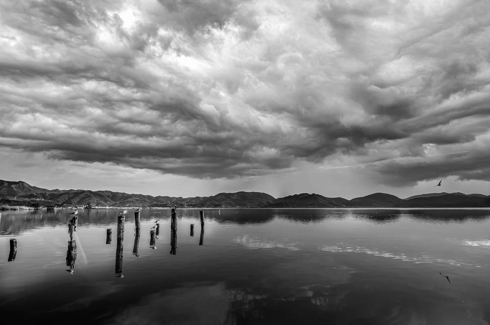 Фотография автора Michele Trombella