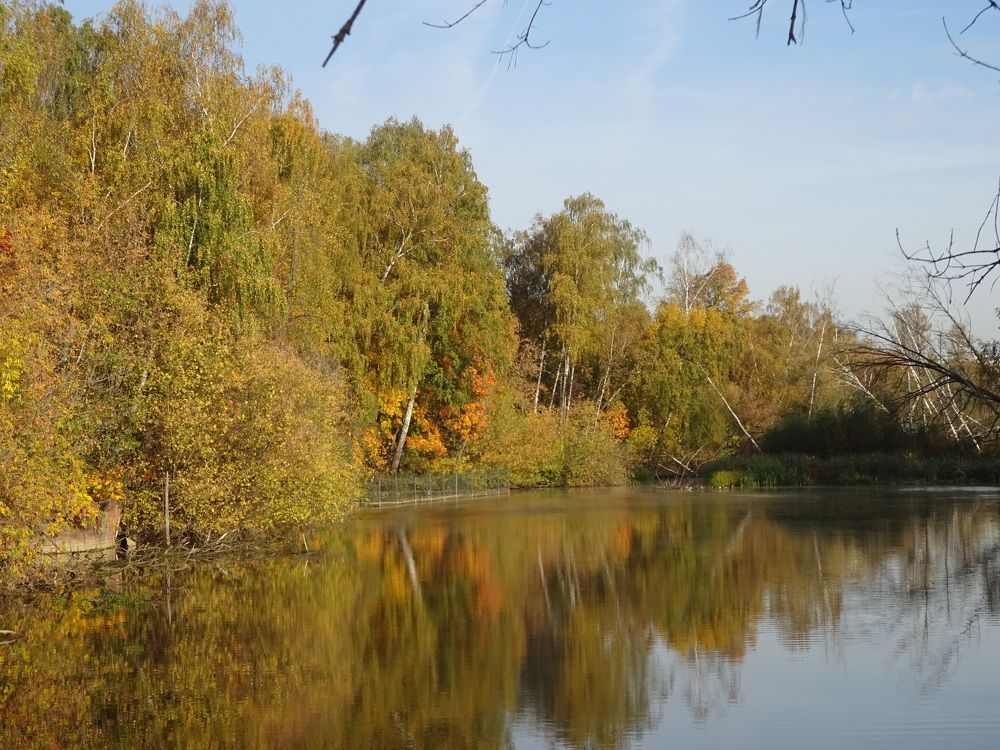 Photograph by Александр