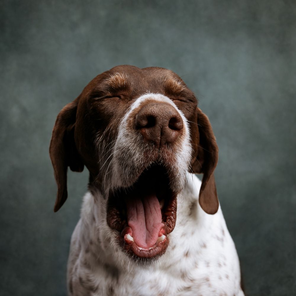 Photograph by Angie Perisse