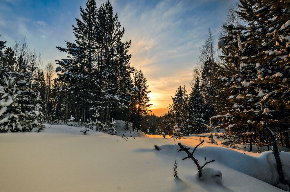 Photograph by Дмитрий Бухтик