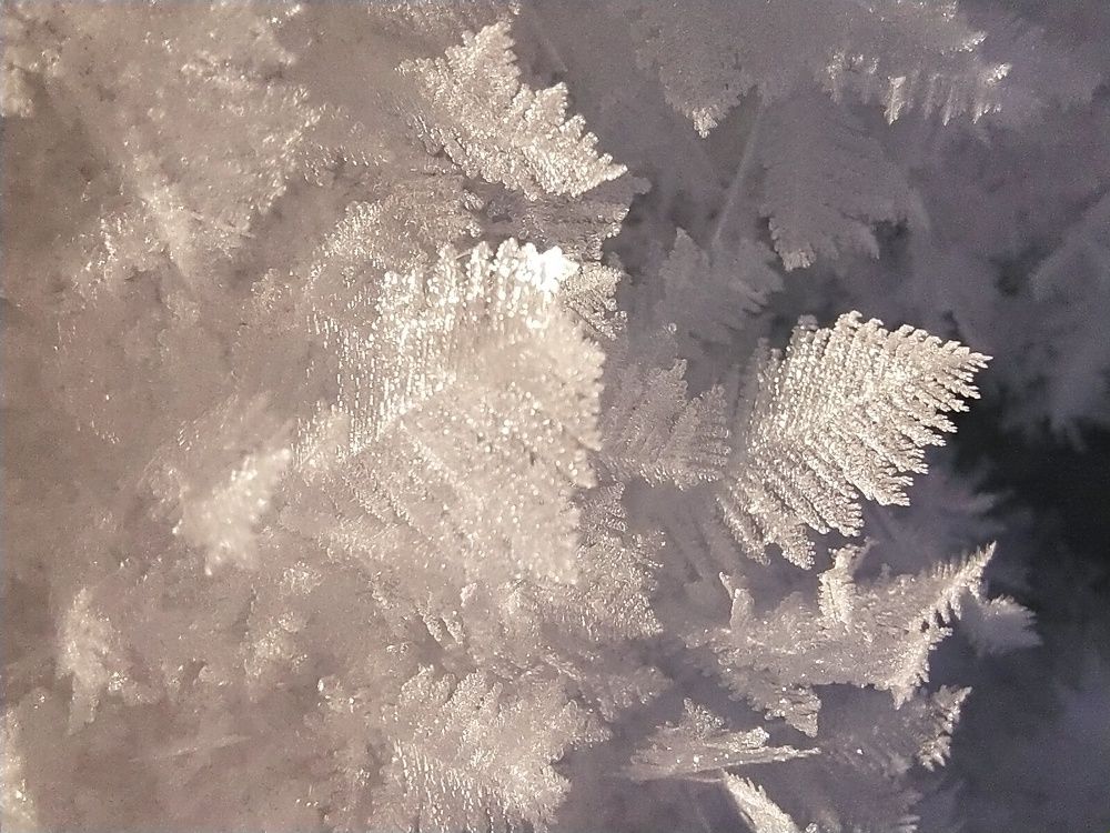 Photograph by Александра Лукашевич