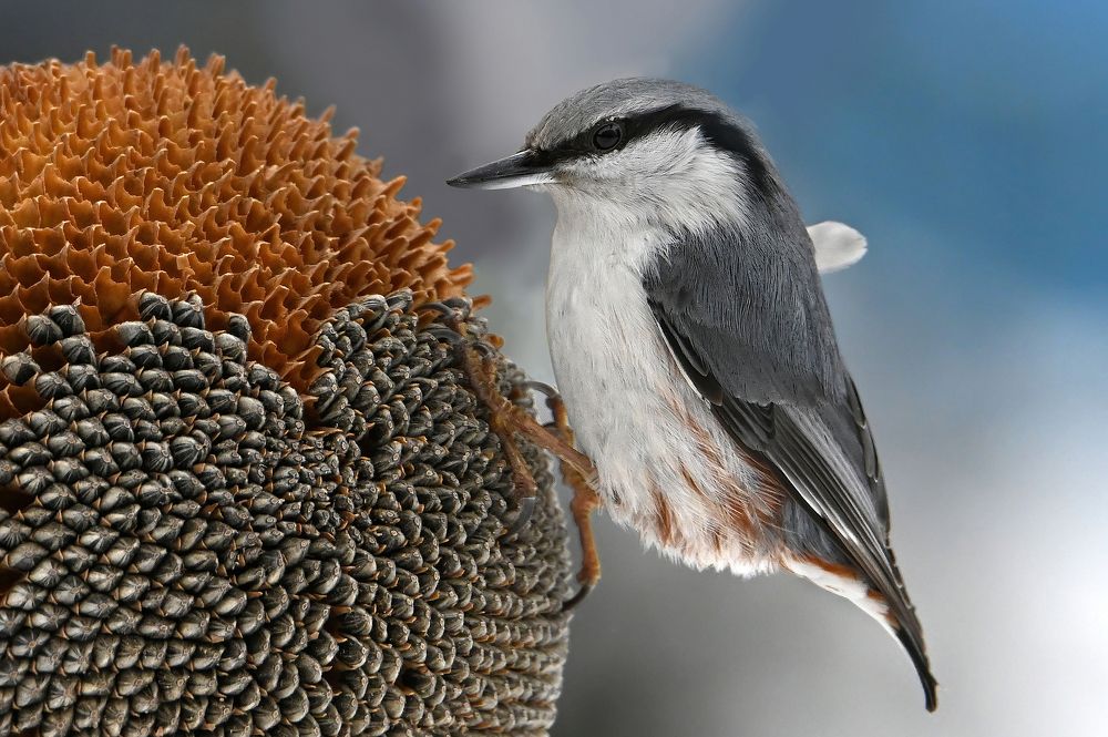 Photograph by Чернобай Анна