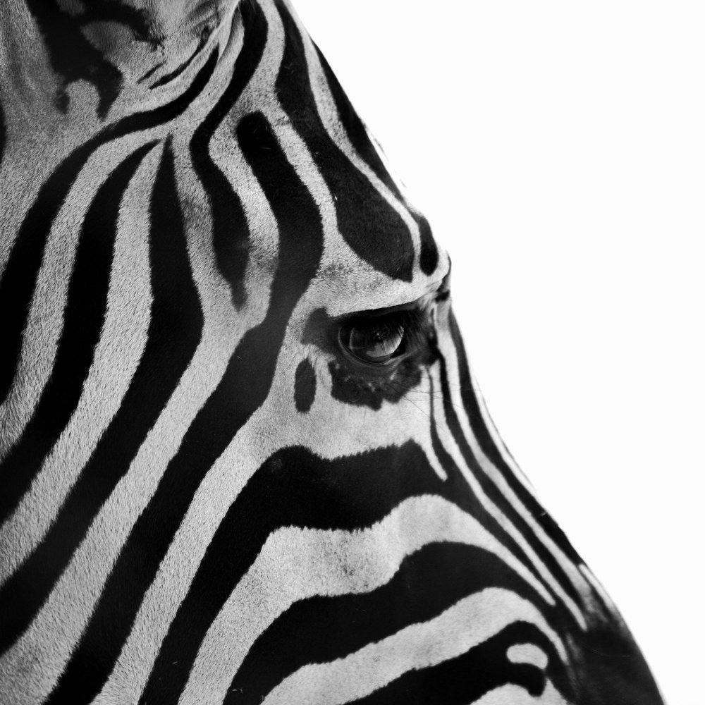 Photograph by Mauro Horta