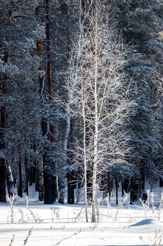 Photograph by Алексей Егорычев