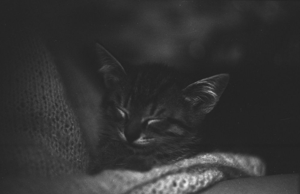 Photograph by Вячеслав Приходько