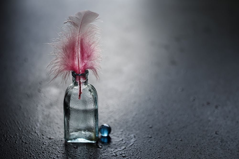 Фотография автора Refat Mamutov