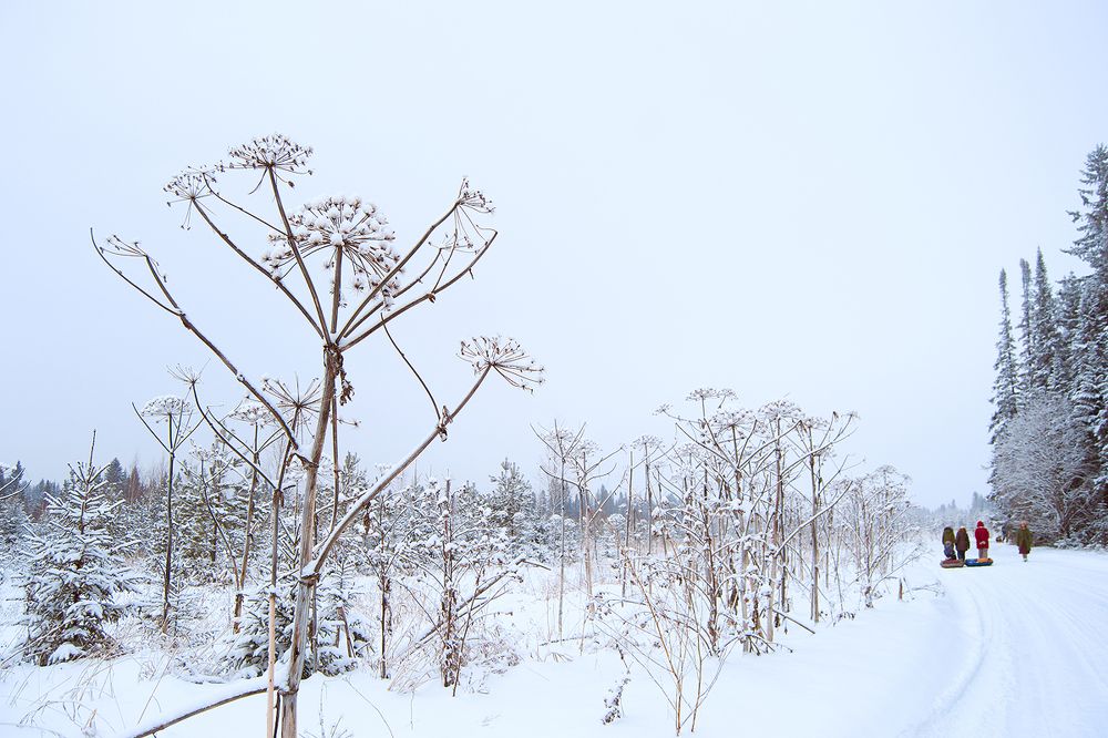 Photograph by Маргарита Гасец