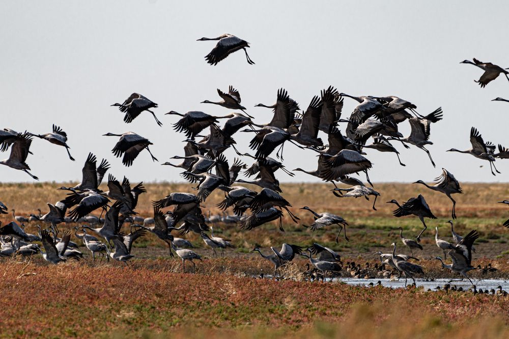 Photograph by Михаил Колесников