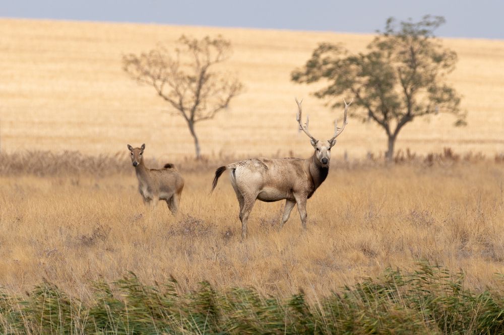 Photograph by Михаил Колесников