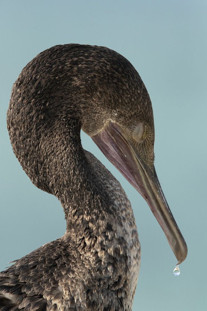 Siesta in the morning