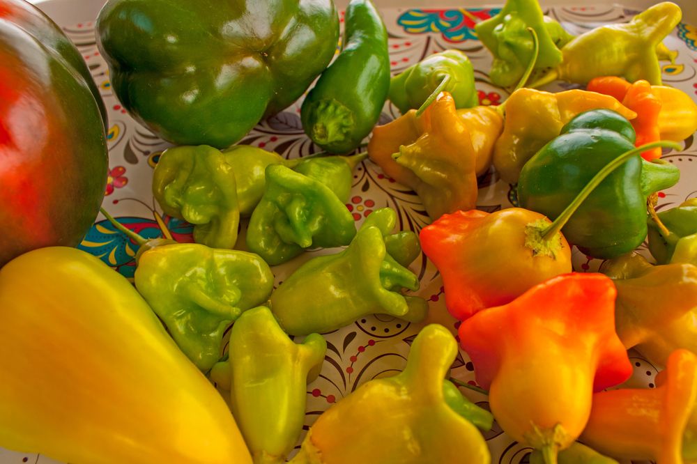 Photograph by  Vladimir