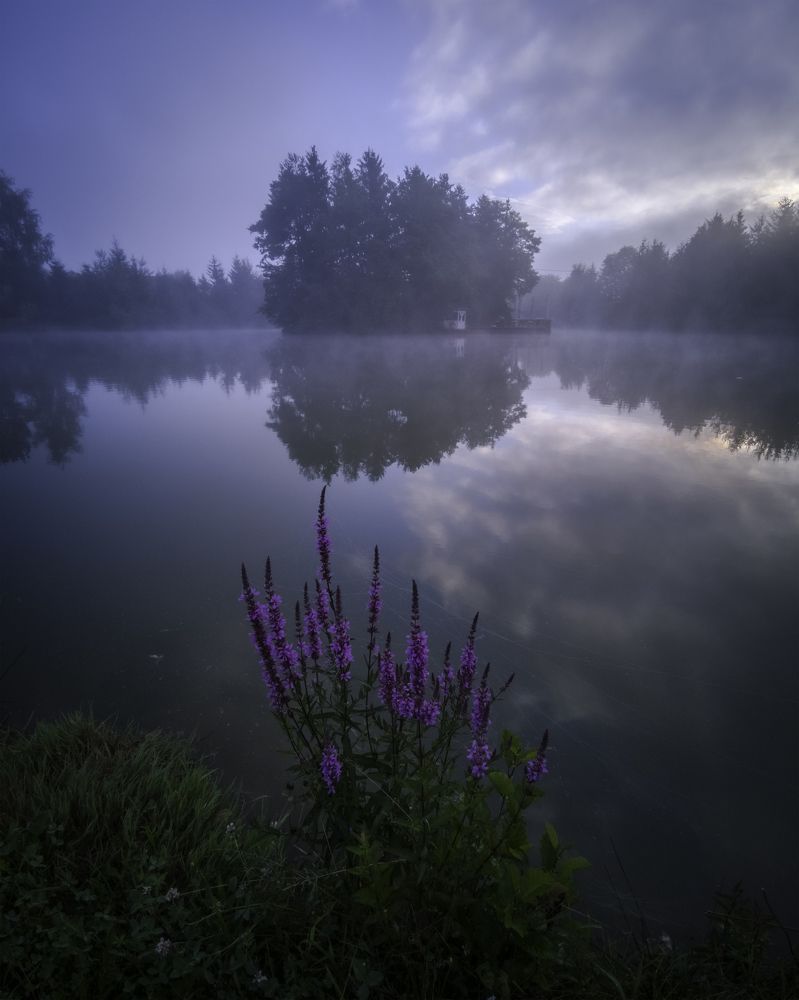 Misty morning at the lake