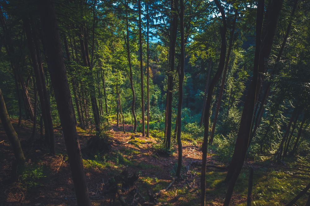 Photograph by Fahrudin Seferagić