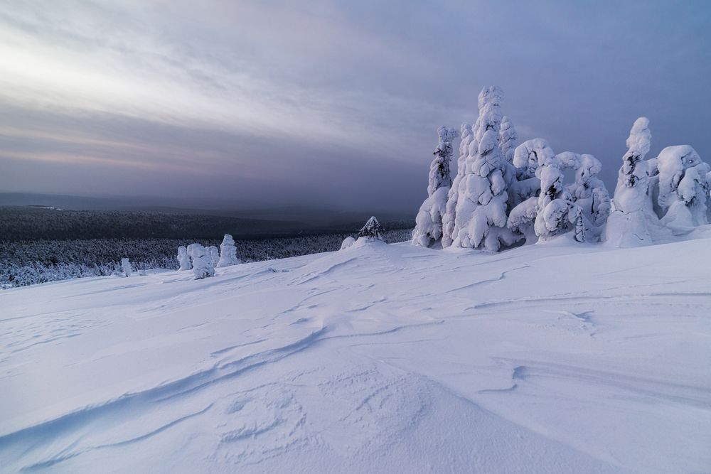 Photograph by Евгений Антонов