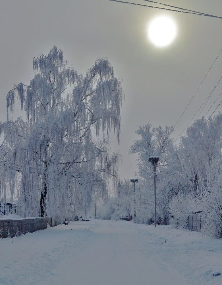 Photograph by Антонина Деркач