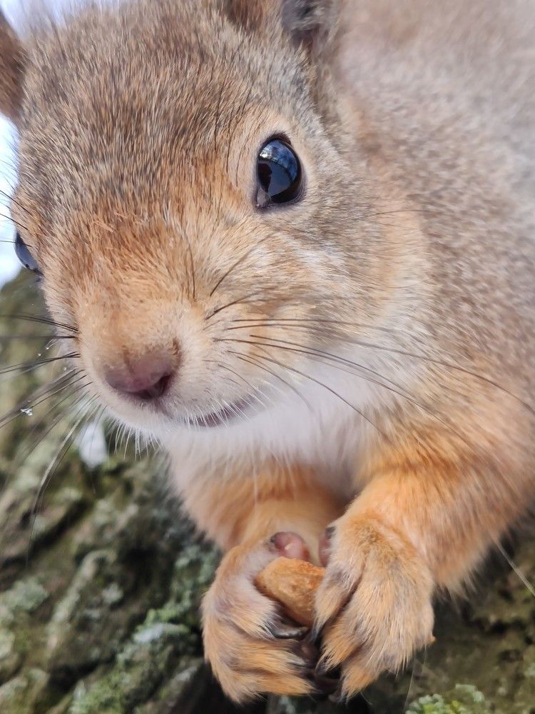 Photograph by Катерина Потëмина