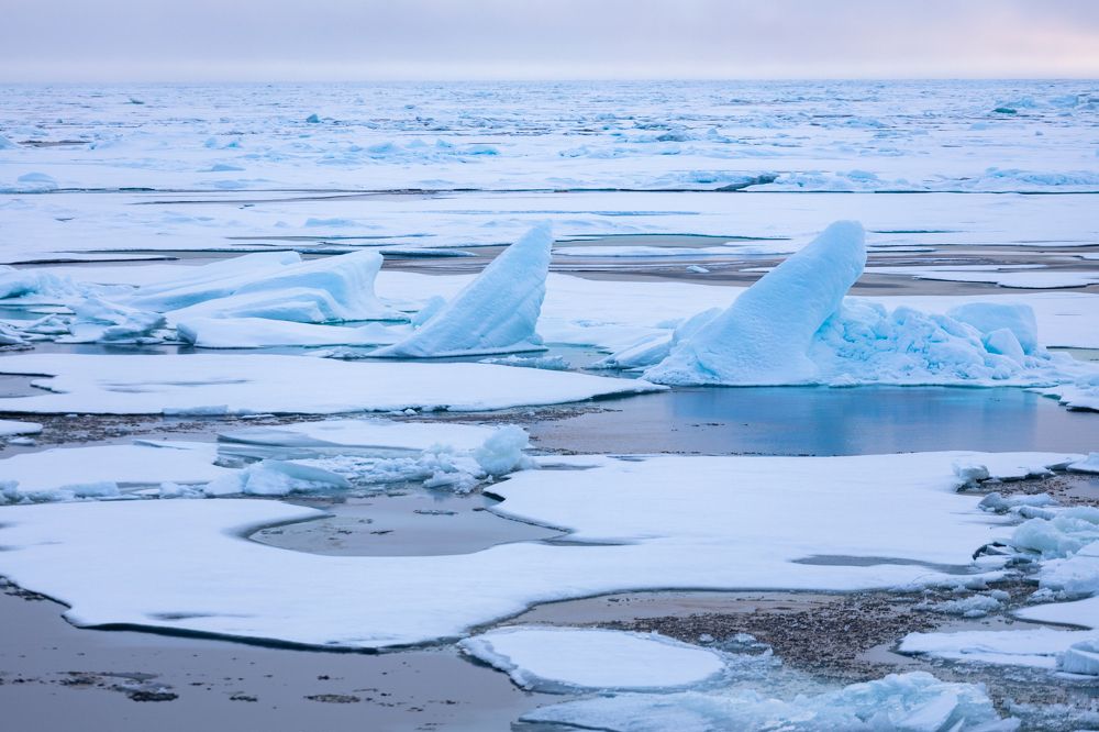 Photograph by Алексей Шматков