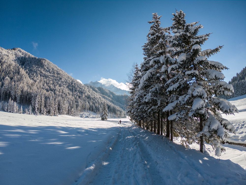 Winter snow fairytale