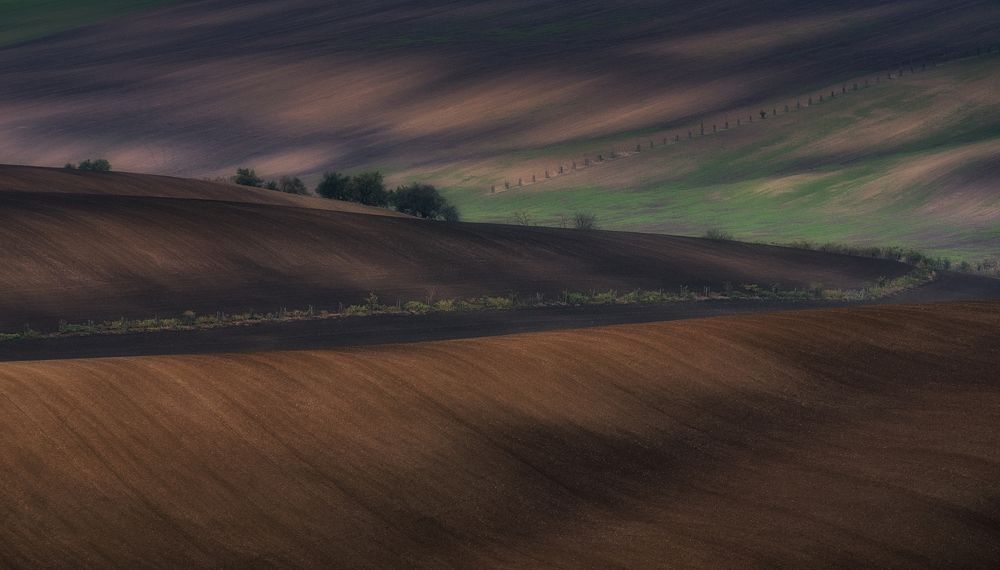 Photograph by Евгений Антонов