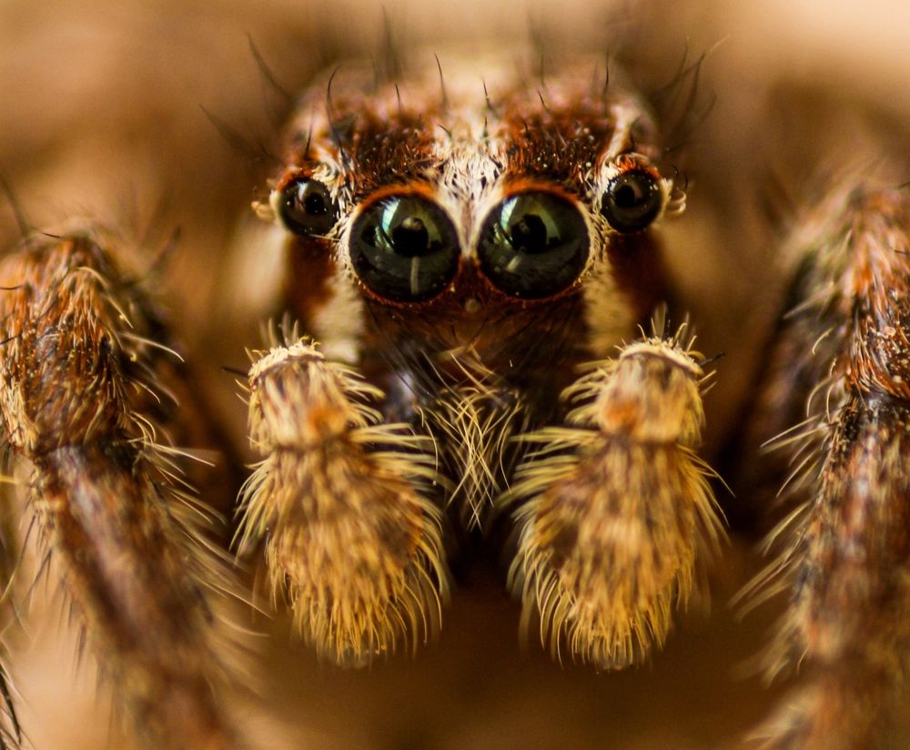 Photograph by Varun Paramashivan