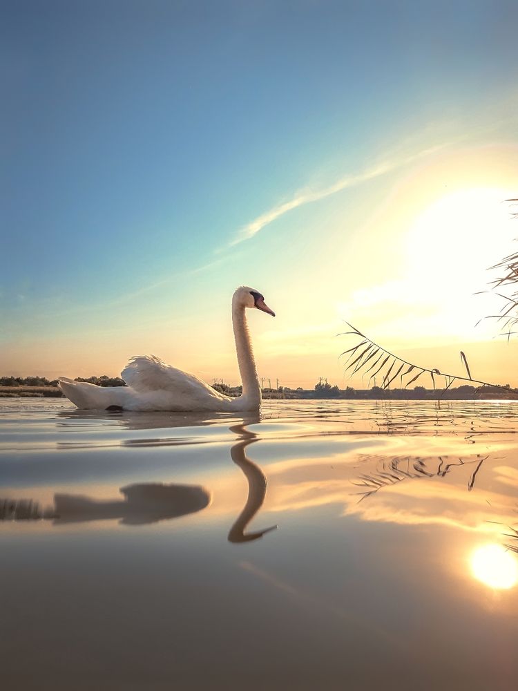 Photograph by Сергей Колос