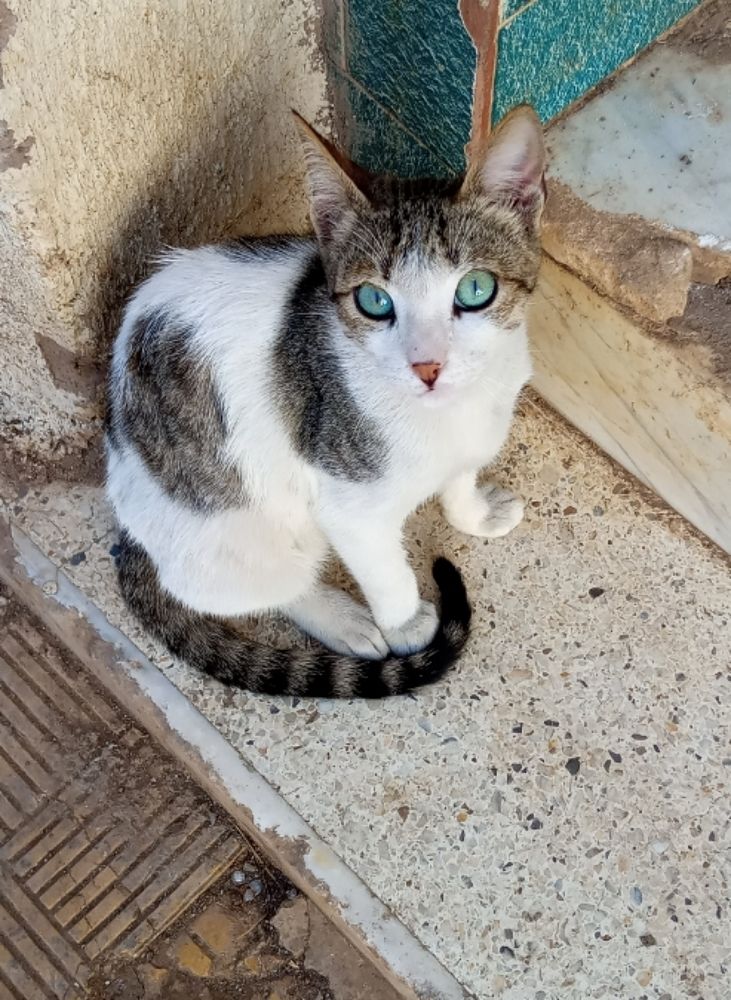 Photograph by Moussiqui Soukaina