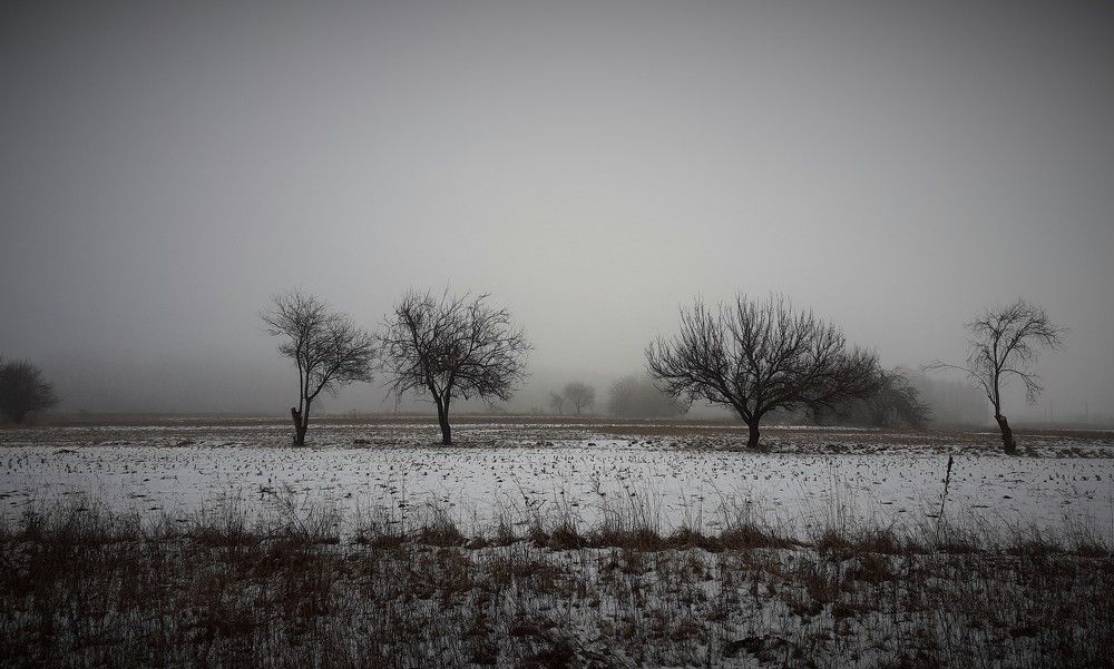 Photograph by Антонина Деркач