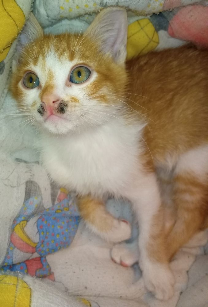 Photograph by Moussiqui Soukaina