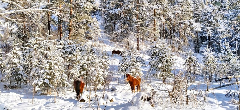 Photograph by татьяна надточий