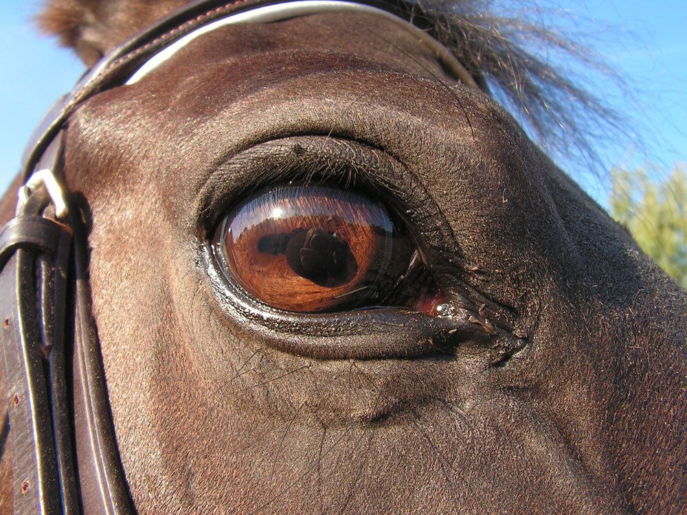 Photograph by людмила