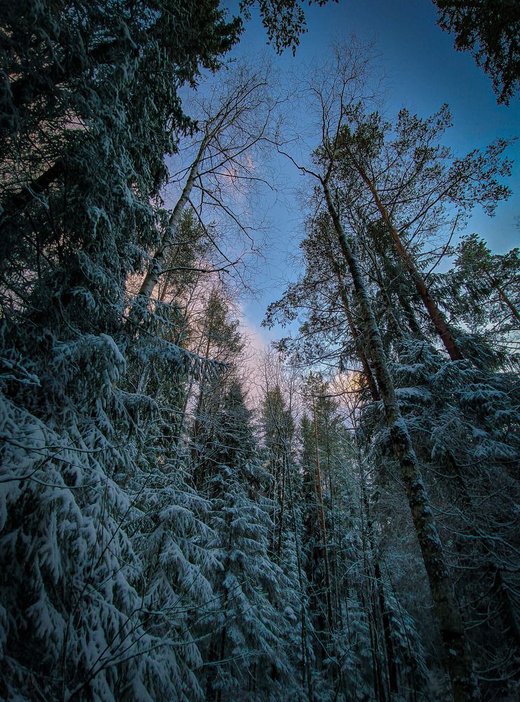 Photograph by Константин Леонюк