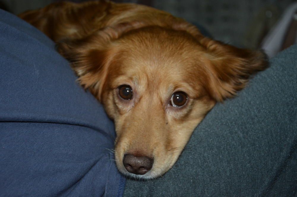 Photograph by Helena Lugowska