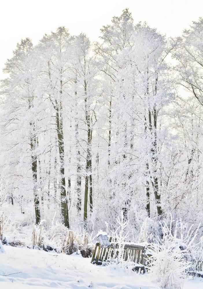 Photograph by Антонина Деркач