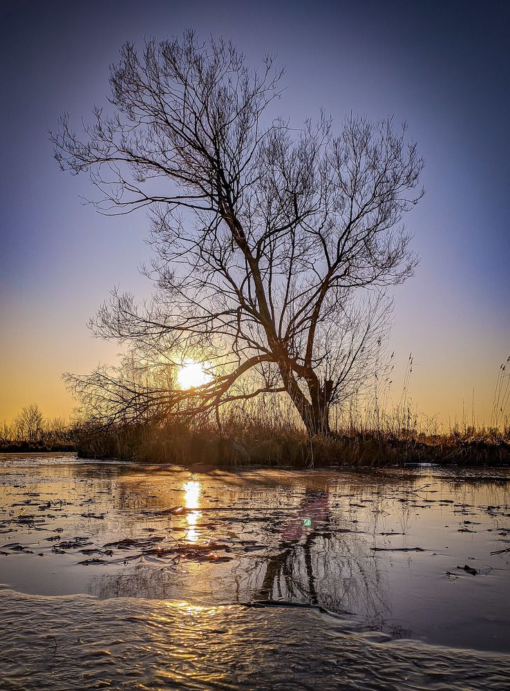 Photograph by Константин Леонюк