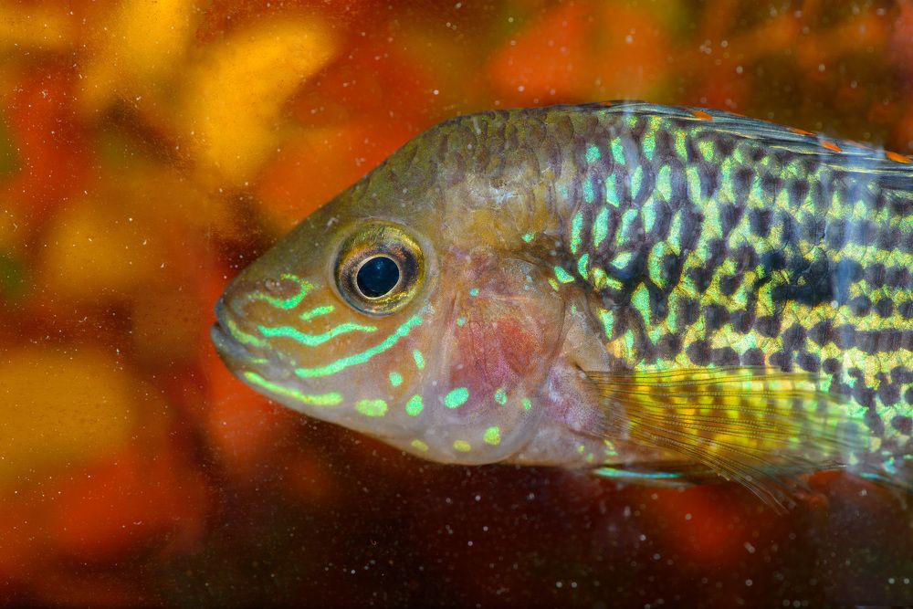 Photograph by Rimma Volchenko