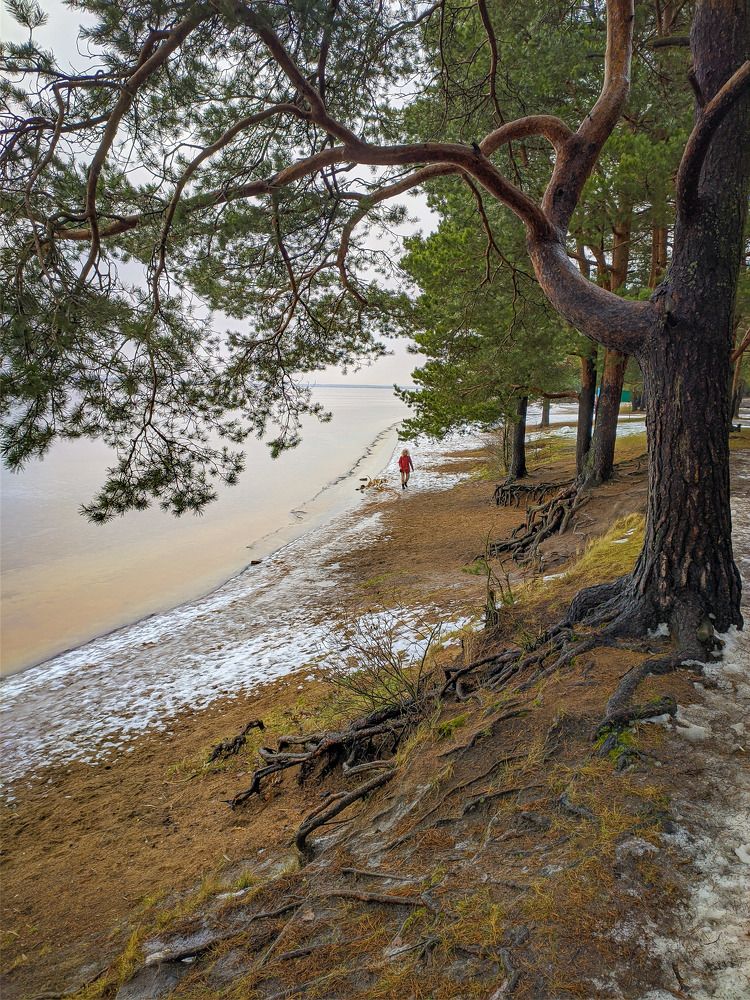 Photograph by Константин Леонюк