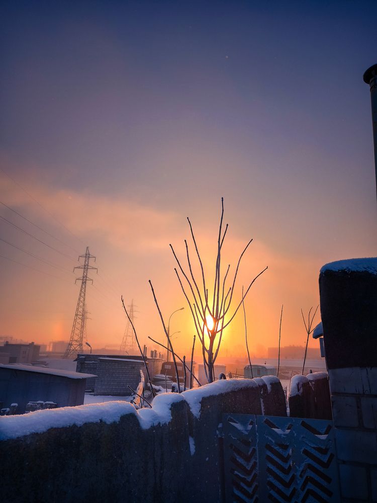 Морозное утро