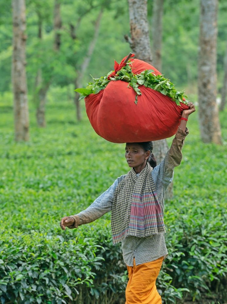 Photograph by Mahmudul Hasan