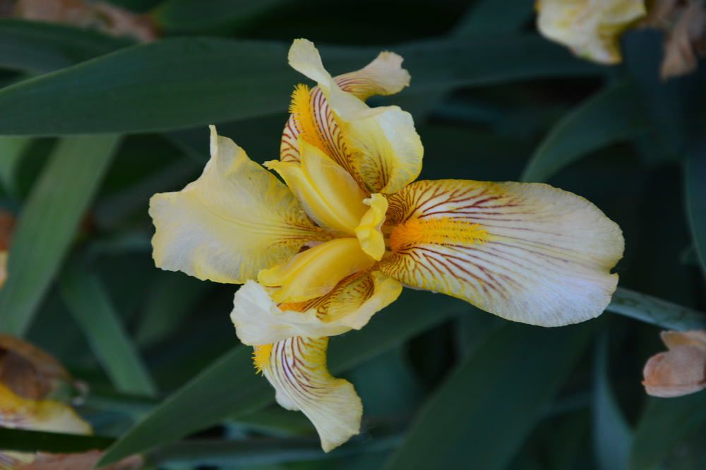 Photograph by Helena Lugowska