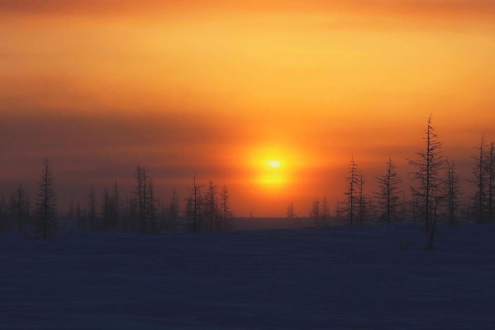 Пейзаж полярного дня.
