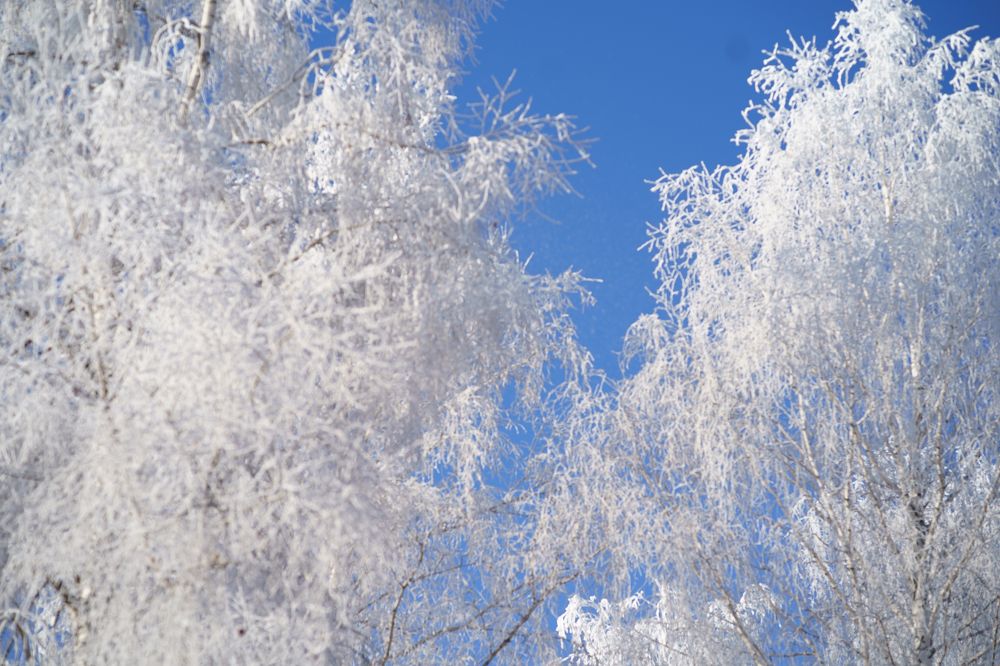 Photograph by Мира Гимаева