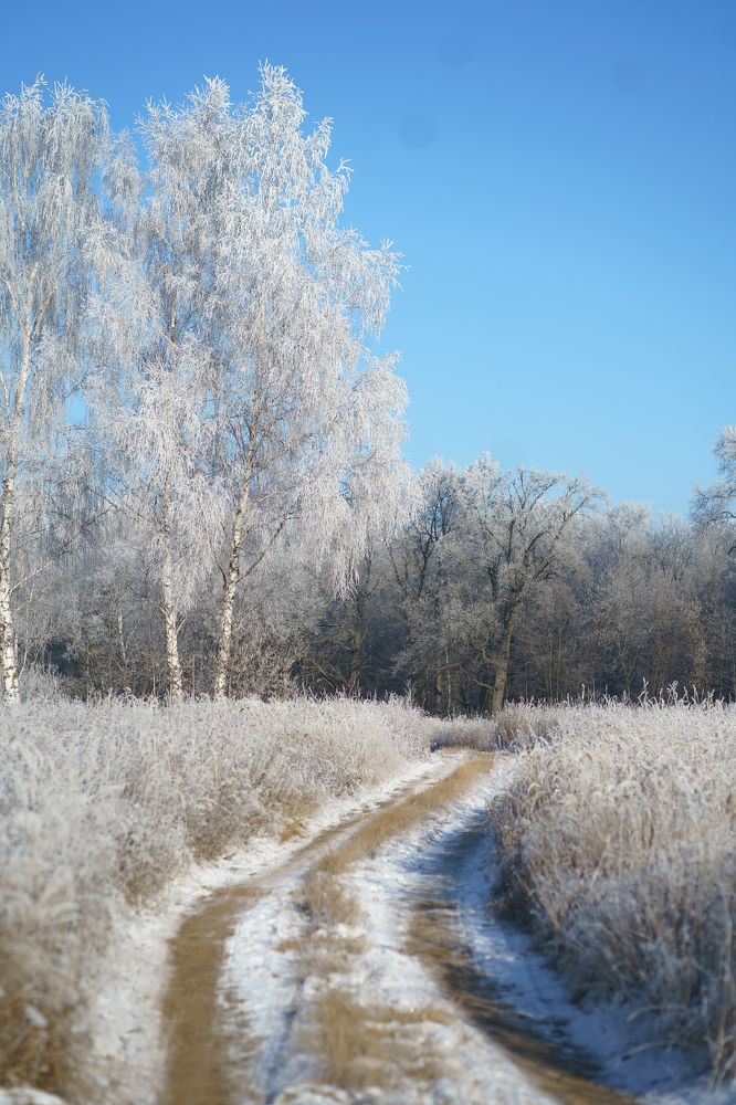 Photograph by Мира Гимаева