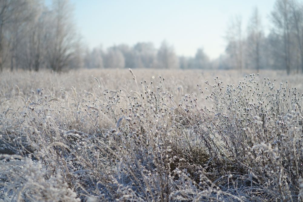 Photograph by Мира Гимаева