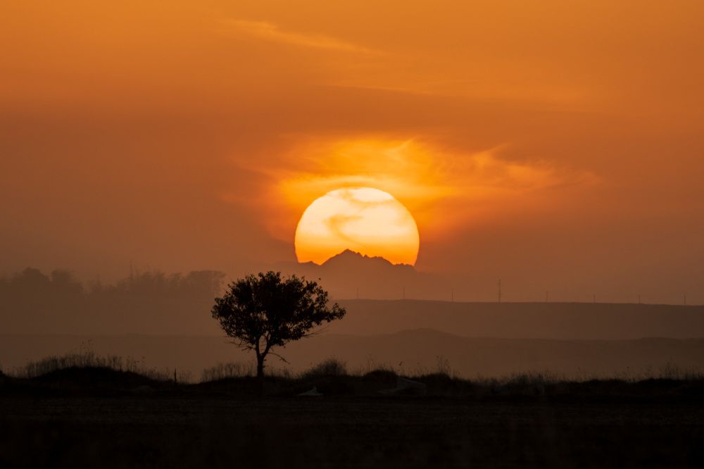 Photograph by Рамзан Давлетмирзаев