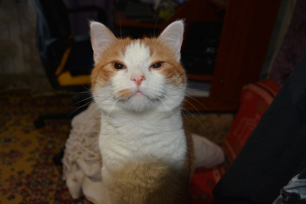 Photograph by Helena Lugowska