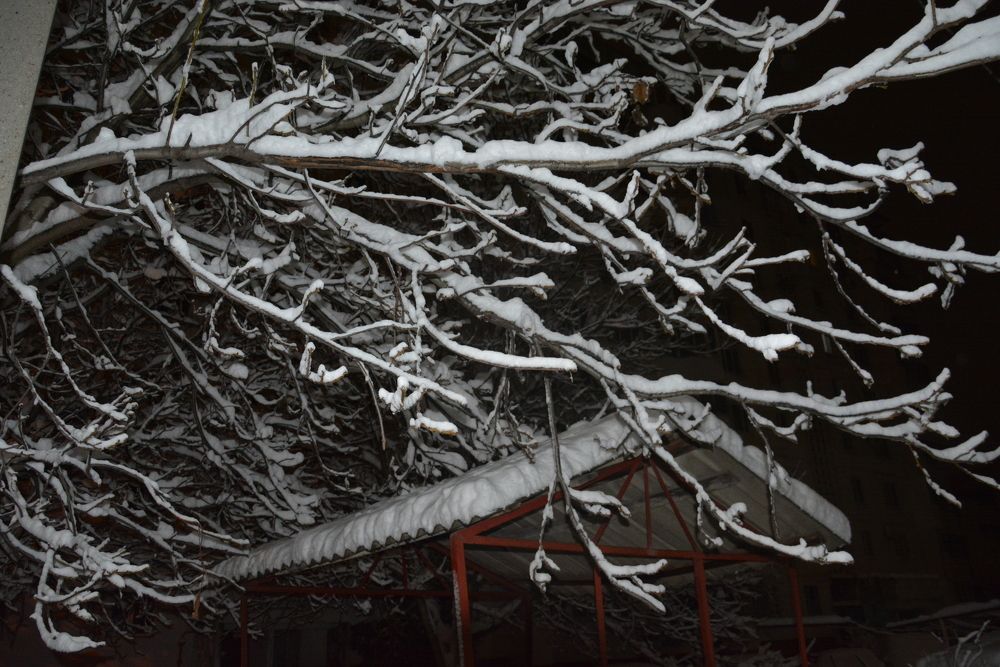 Photograph by Helena Lugowska