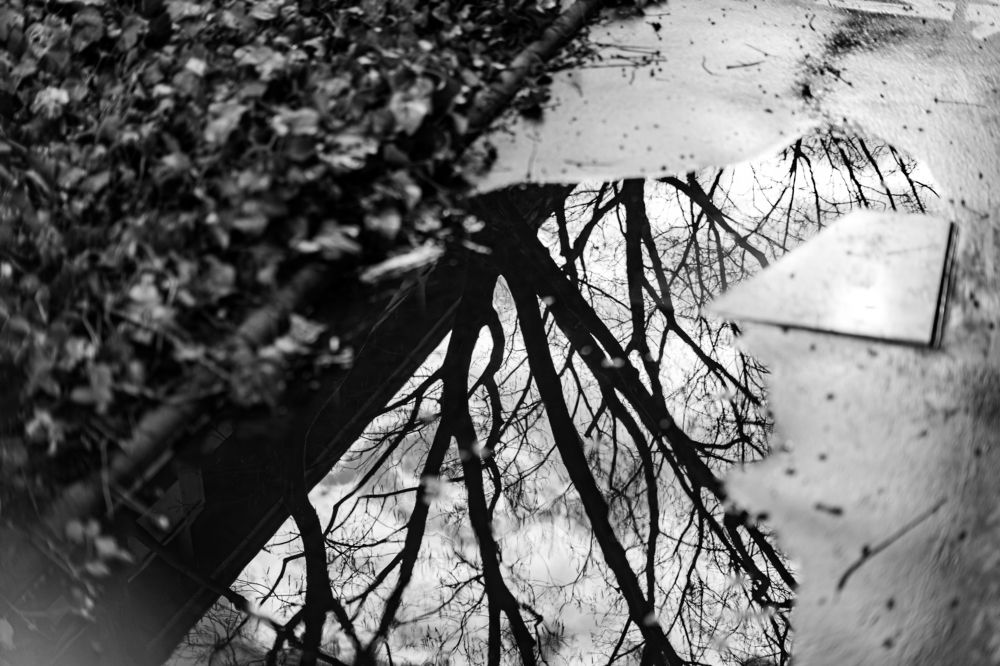 Photograph by Евгения Луговая