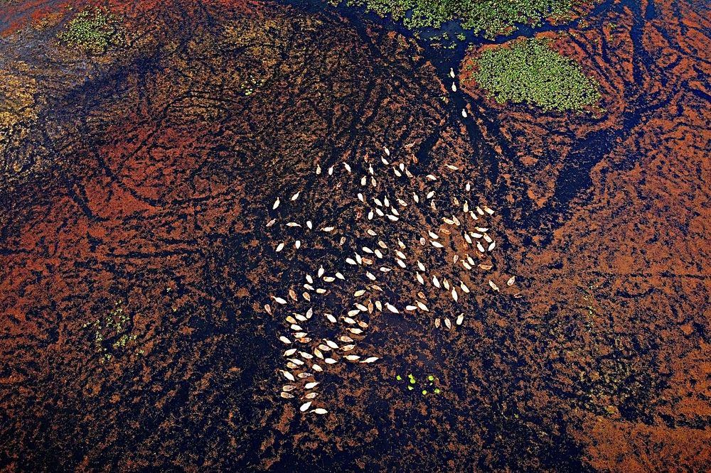 Photograph by Kayes Md Imrul